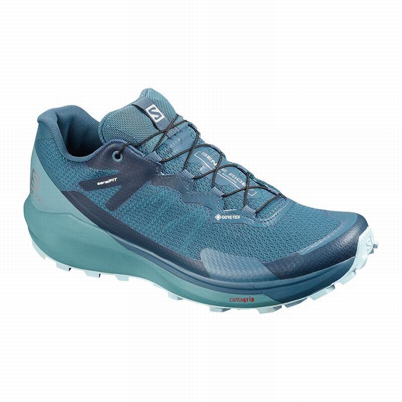 Salomon Chile Outlet - Zapatillas Trail Running Salomon SUPERCROSS GTX  Hombre Azules